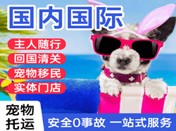 沈阳桃仙空运国际宠物托运 【国